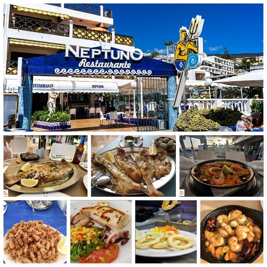 Neptuno Ocean Front Suite Puerto de Santiago  Spanien